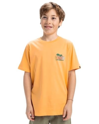 Quiksilver Ev Sunny Palms SS Yth Kısa Kollu Tişört Çocuk 0-24