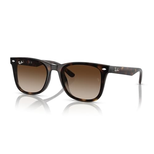 Ray-Ban Rb4420 Kare Güneş Gözlüğü