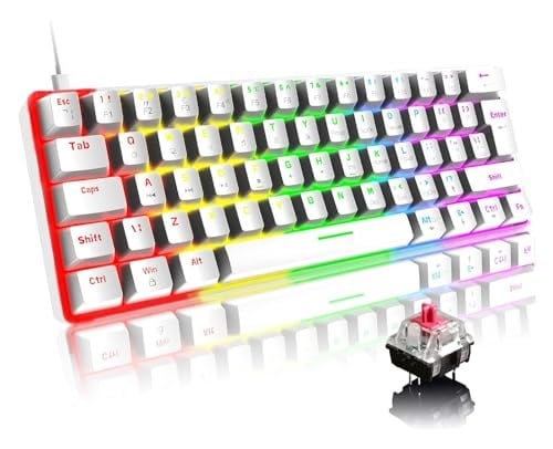 ROBEVE Blic Oyuncu Klavyesi RGB Klavye 20 Modlu Ayarlanabilir Renk Seçeneği RGB Suya Ve Toza Dayanıklı Klavye Oyun Klavyesi Oyuncu Klavye Mekanik Klavye Kırmızı Switch (Beyaz)