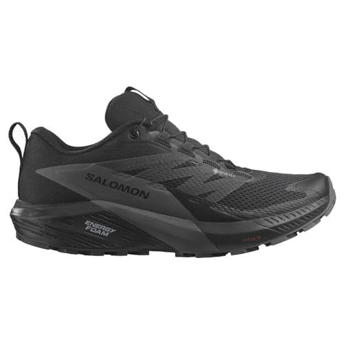 Salomon Ayakkabı Sense Ride 5 Gtx W Trail Koşu AyakkabılarıKadın