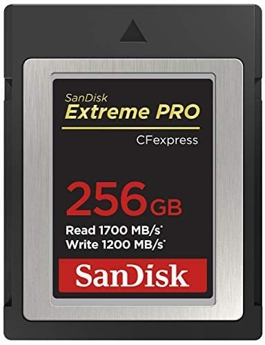SanDisk Extreme Pro CFexpress hafıza kartı Tip B 256 GB (1.700 MB/s okuma, 1.200 MB/s yazma, RescuePRO Deluxe, sorunsuz RAW videolar, 4K, XQD uyumluluğu)