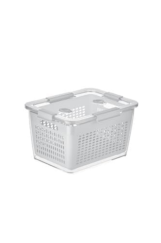 Selka Home - Lavin 4 Litre Açık Gri Saklama Kabı