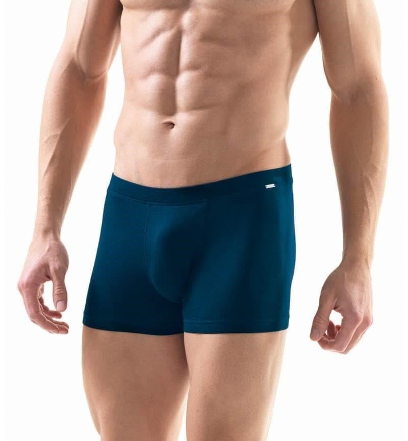 Silver Lacivert Boxer 9310