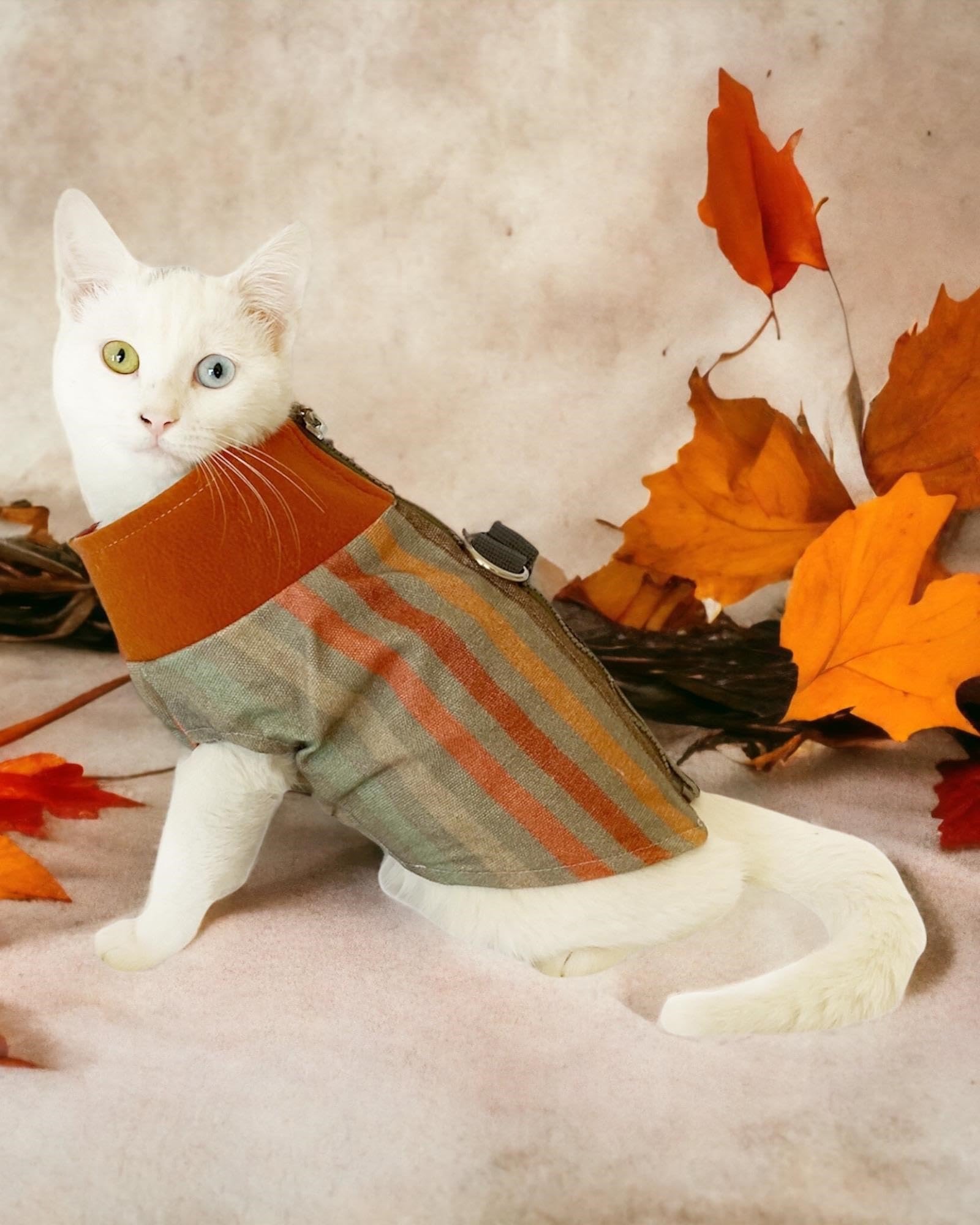 Stripe Orange Su itici Kedi Yağmurluğu M