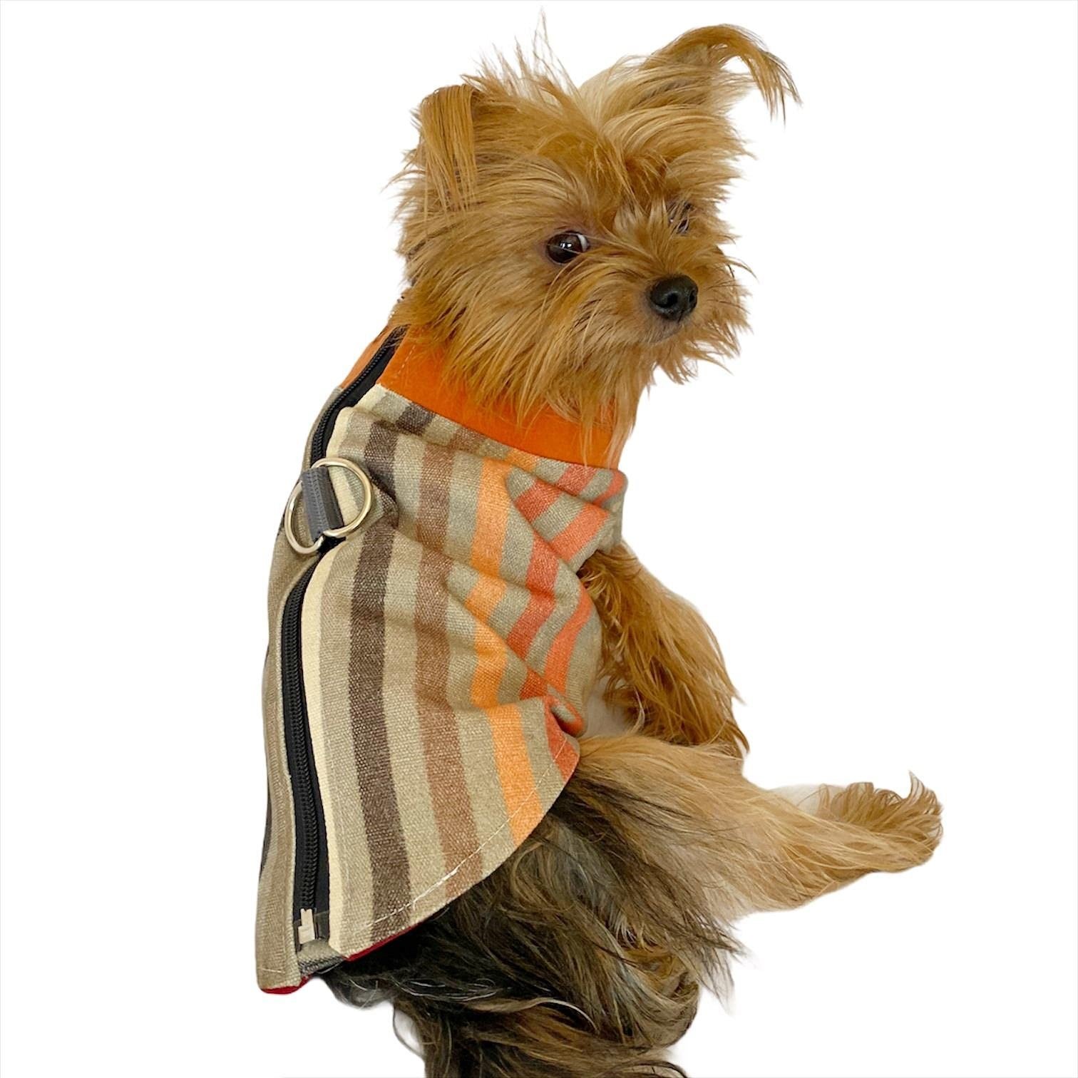 Stripe Orange Su itici Yağmurluk Köpek Yağmurluğu KARIŞIK ÇOK RENKLİ M