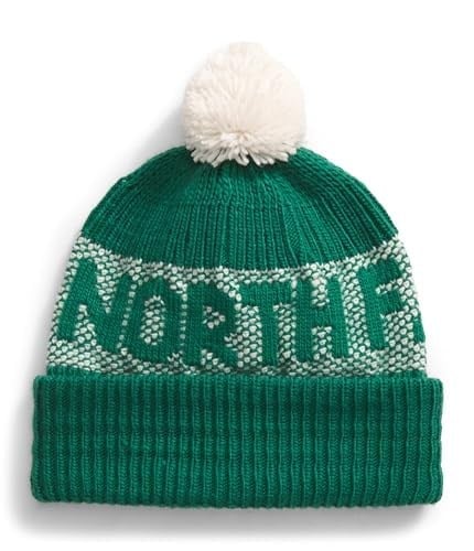 THE NORTH FACE Erkek Bere Retro Cabin