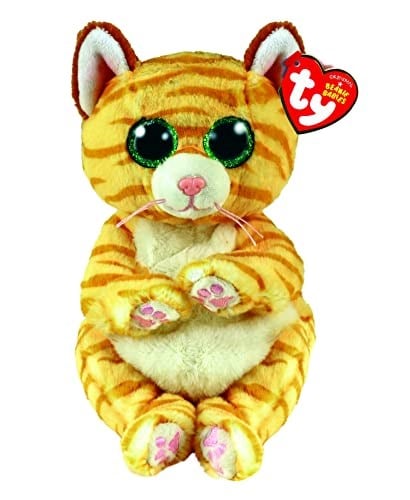 Ty Morgan kedi bere Bellie