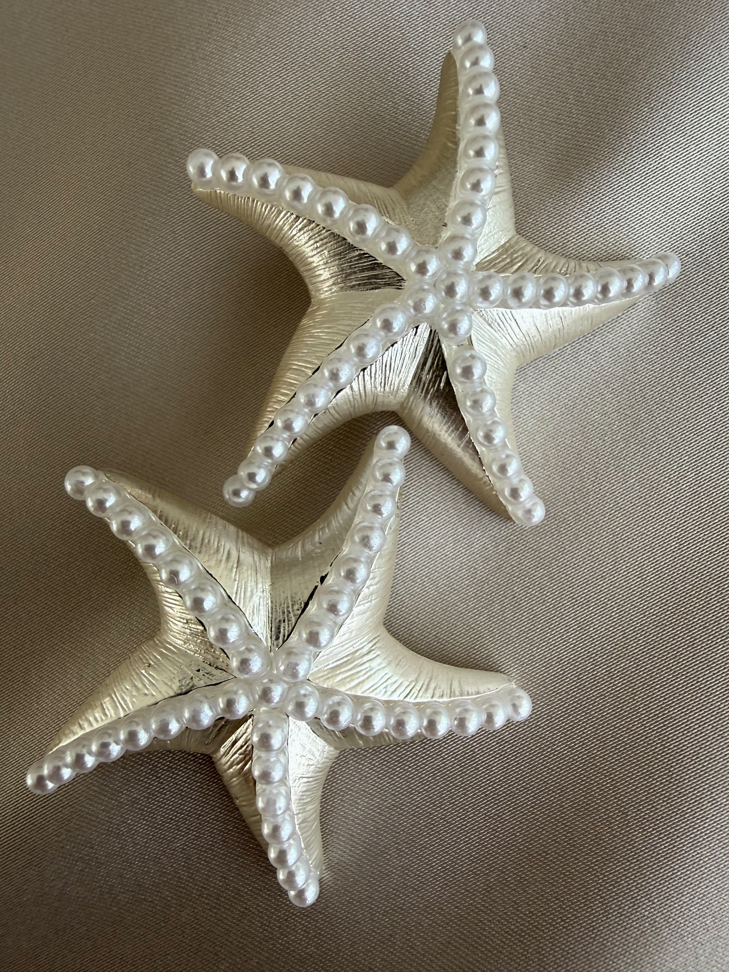 Mat Deniz Yıldızı Küpe(Silver)