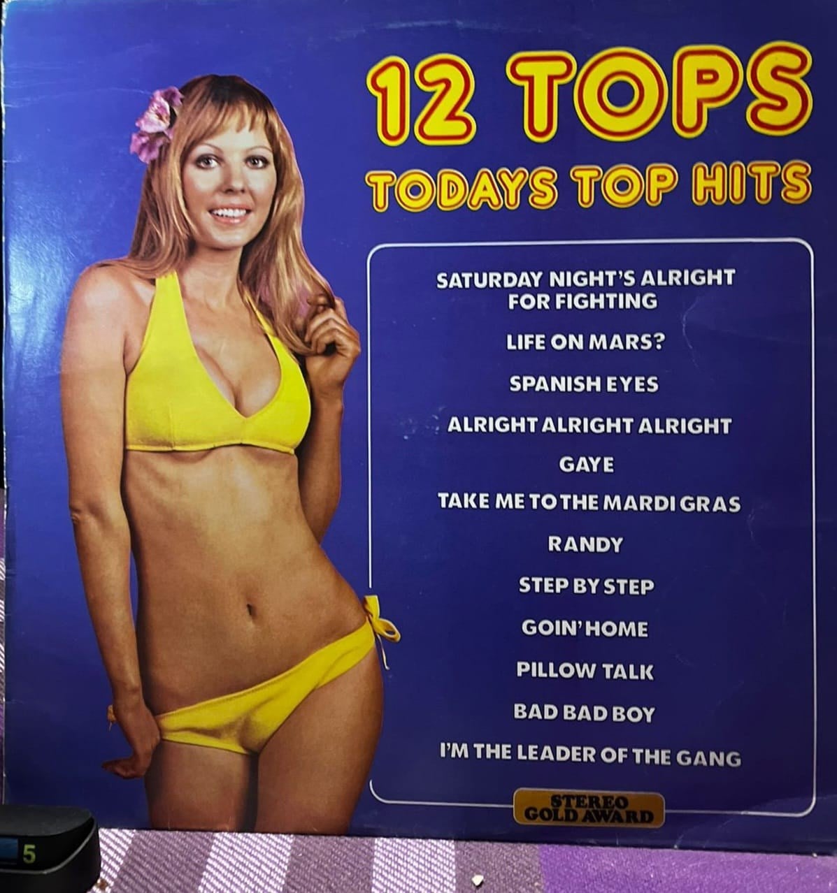12 Tops - Todays Top Hits (1973) - Stereo Gold Award - MER 109 - Vinyl, LP