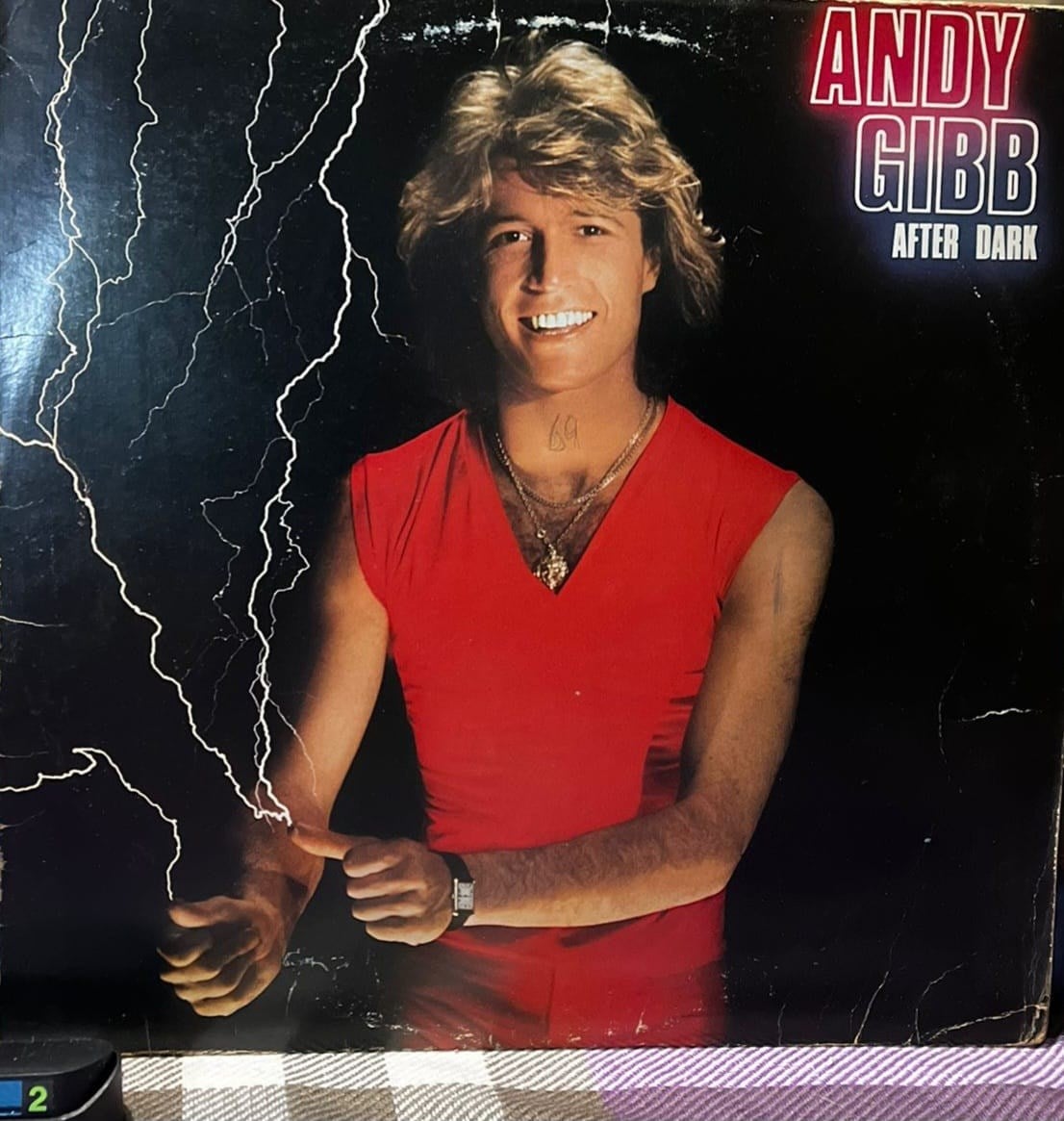 Andy Gibb - After Dark (1980 RSO Records - Bee Gees Destekli)