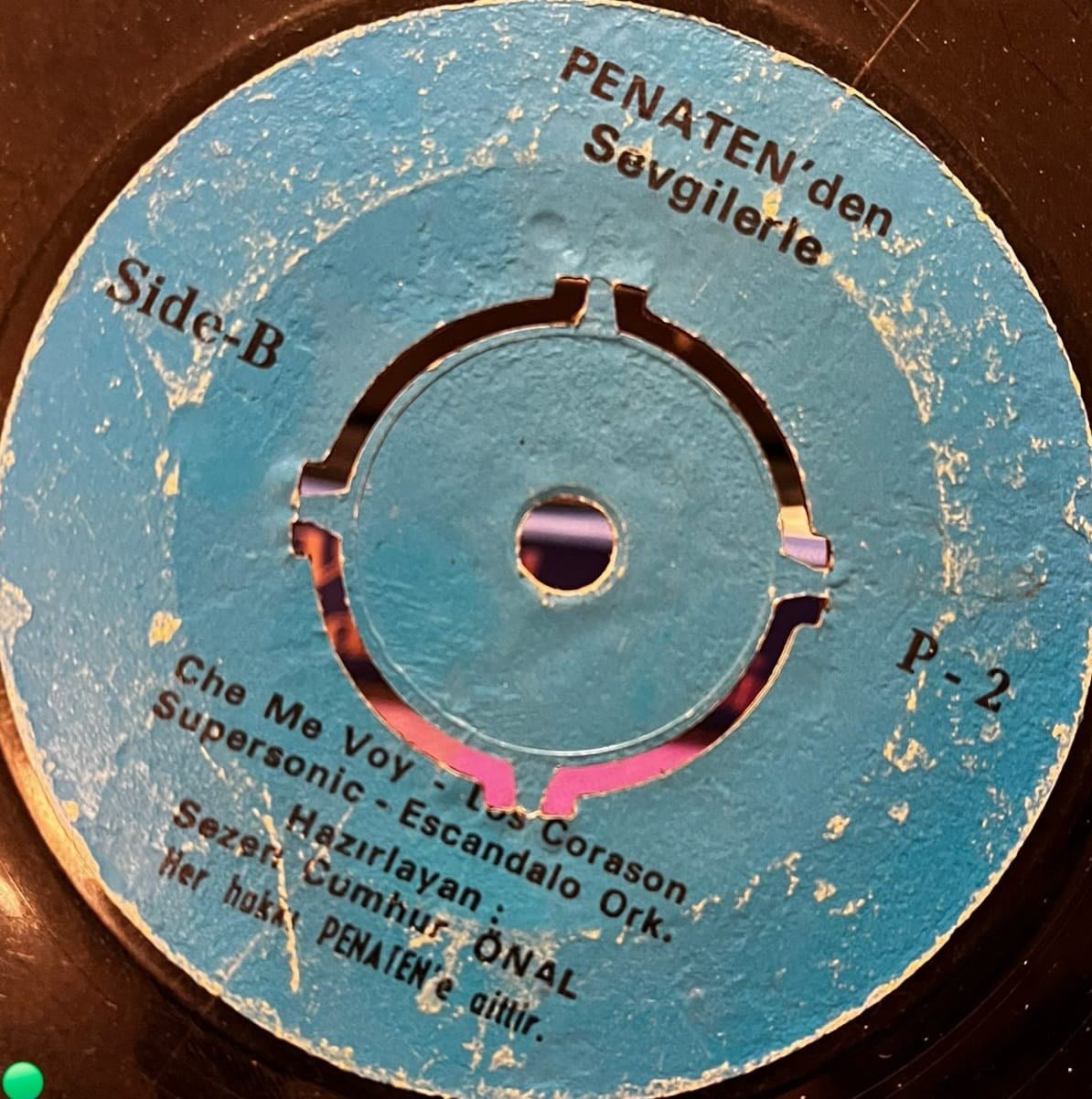 Penaten 1976 Armağanı - Sezen Cumhur Önal Hazırlamış (Çok Nadir Promosyon 45'lik)