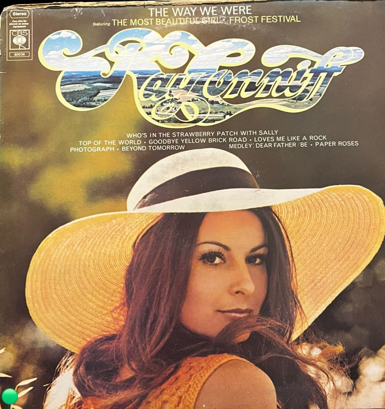Ray Conniff - The Way We Were (CBS Records - S 80036) LP Plak