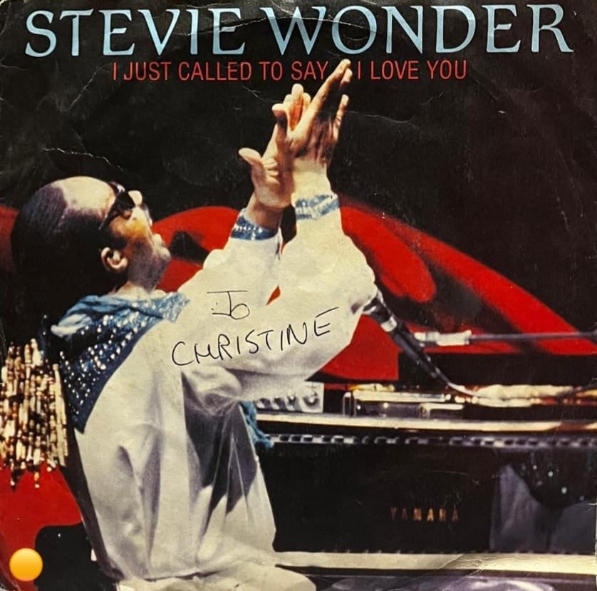 Stevie Wonder - I Just Called To Say I Love You 7