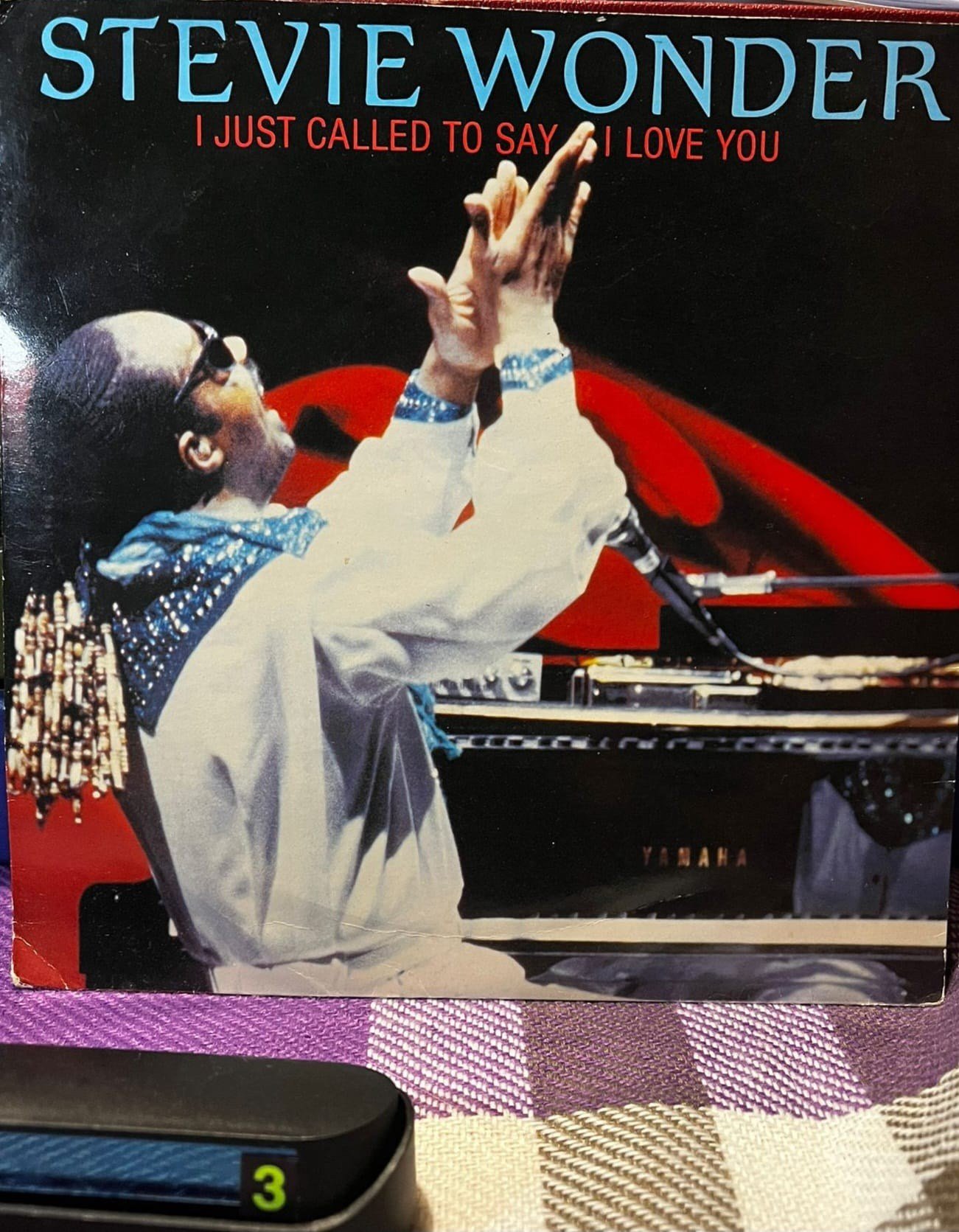 Stevie Wonder - I Just Called To Say I Love You 7