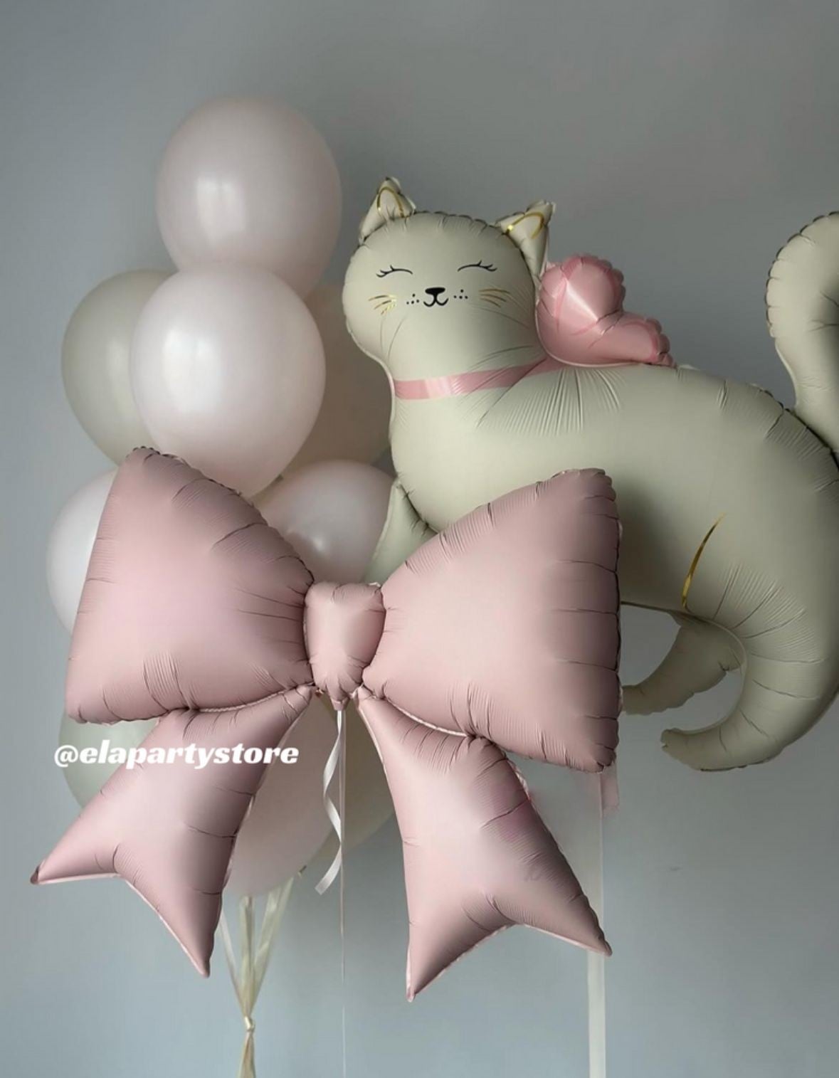 LOVELY CAT FOLYO BALON KONSEPT