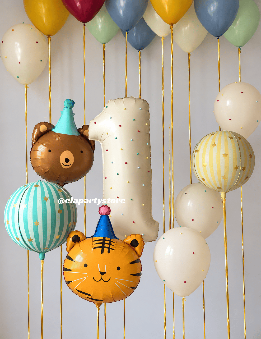 Mini Sirk Balon Seti