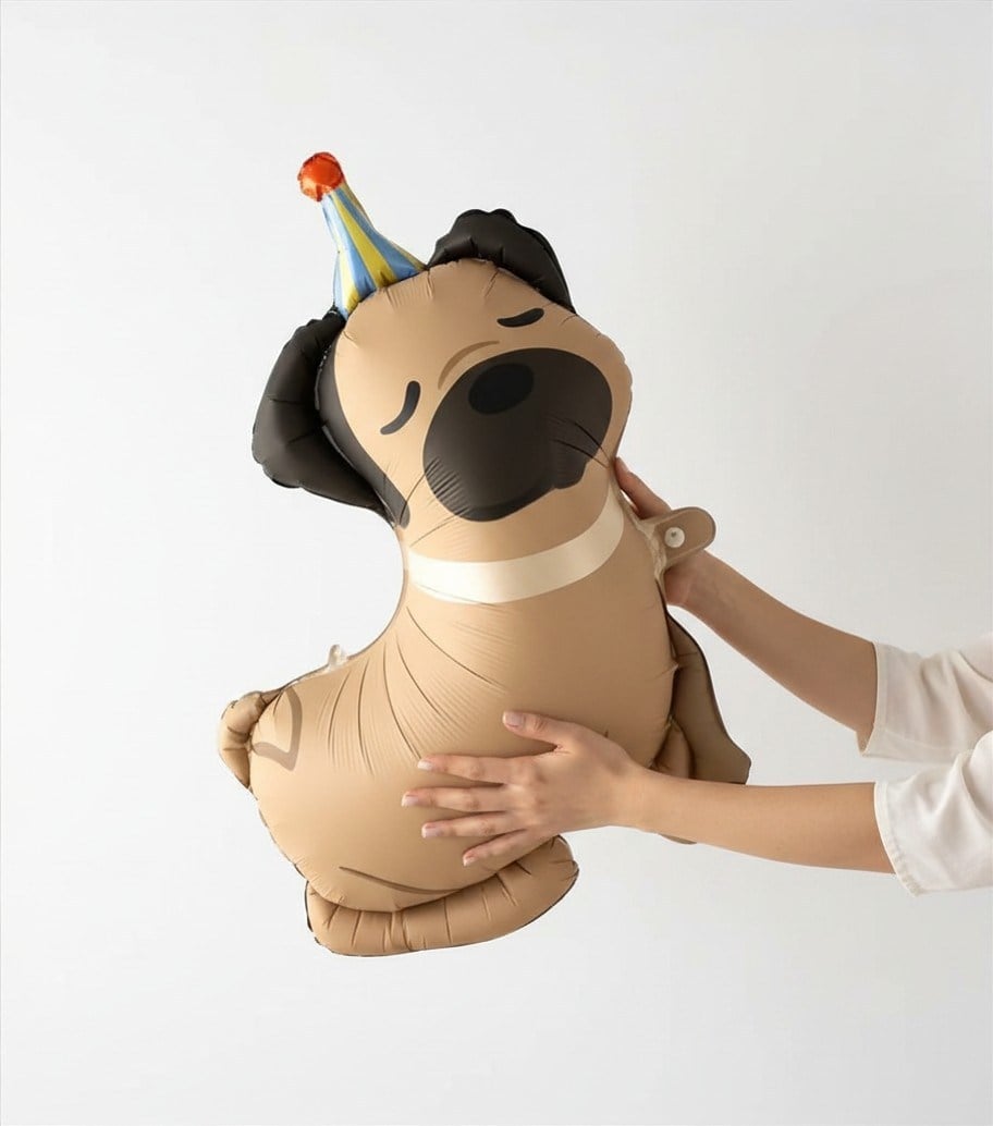 Retro Köpek Folyo Balon