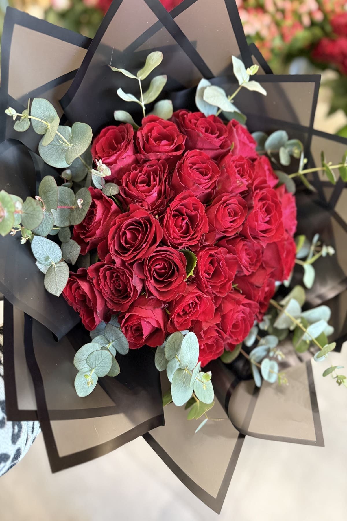 Amour Collection Classical