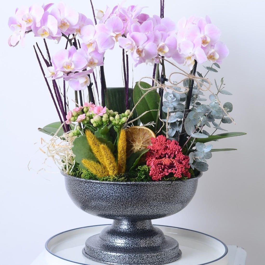 Midi Orchid Designer Flower