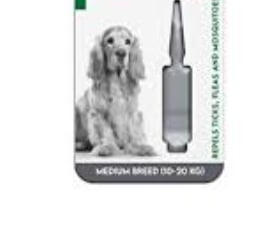  TERRY 1 ML DIŞ PARAZİT KEDİ