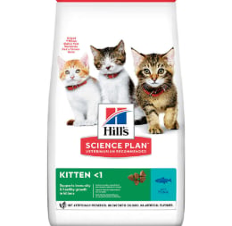 HİLLS YAVRU KEDİ BALIKLI7KĞ