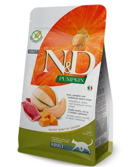 ND PUMPKIN KAVUN KUZU YETİŞKİN