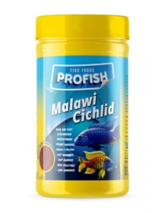 PROFIŞHMALAVİ CİCHLİD