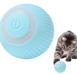 ŞARZLI KÜÇÜK KEDİ TOPU