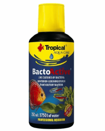 TROPİCAL BACTO ACTİVE 250ML