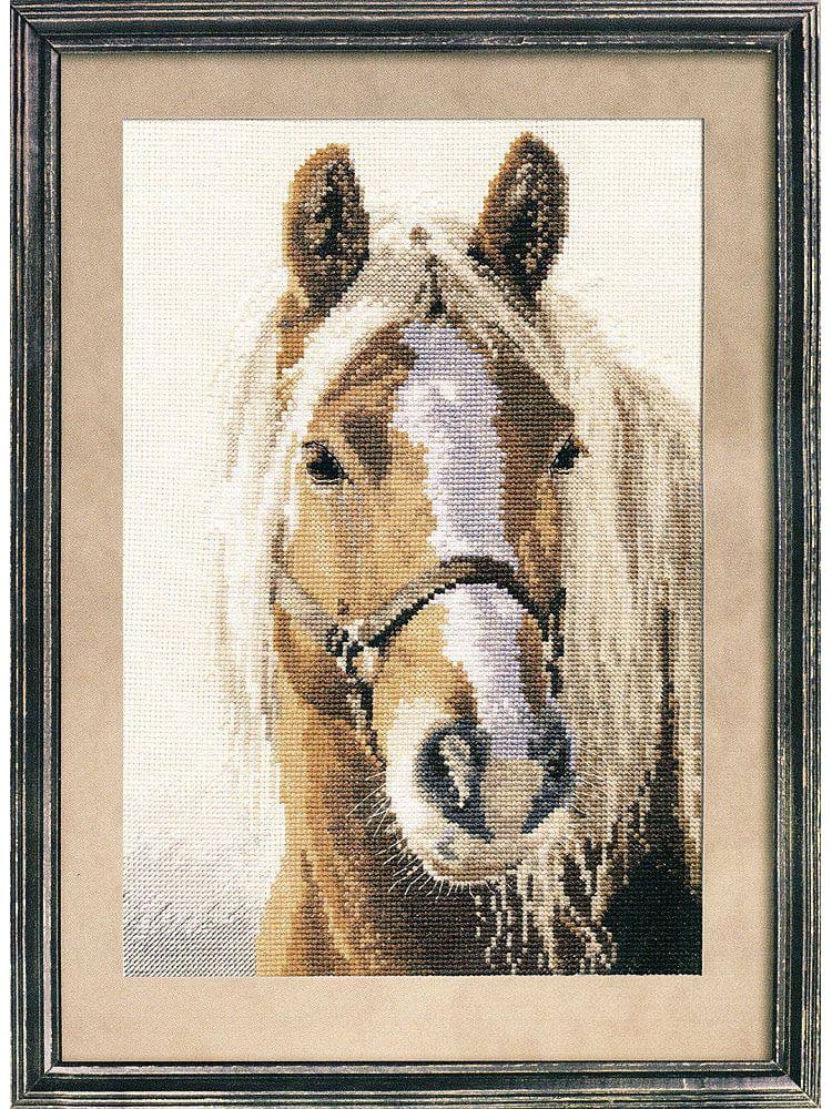 Alisa Adel Counted Cross Stitch Kit (Aida, Threads and Chart Included) - 1-17