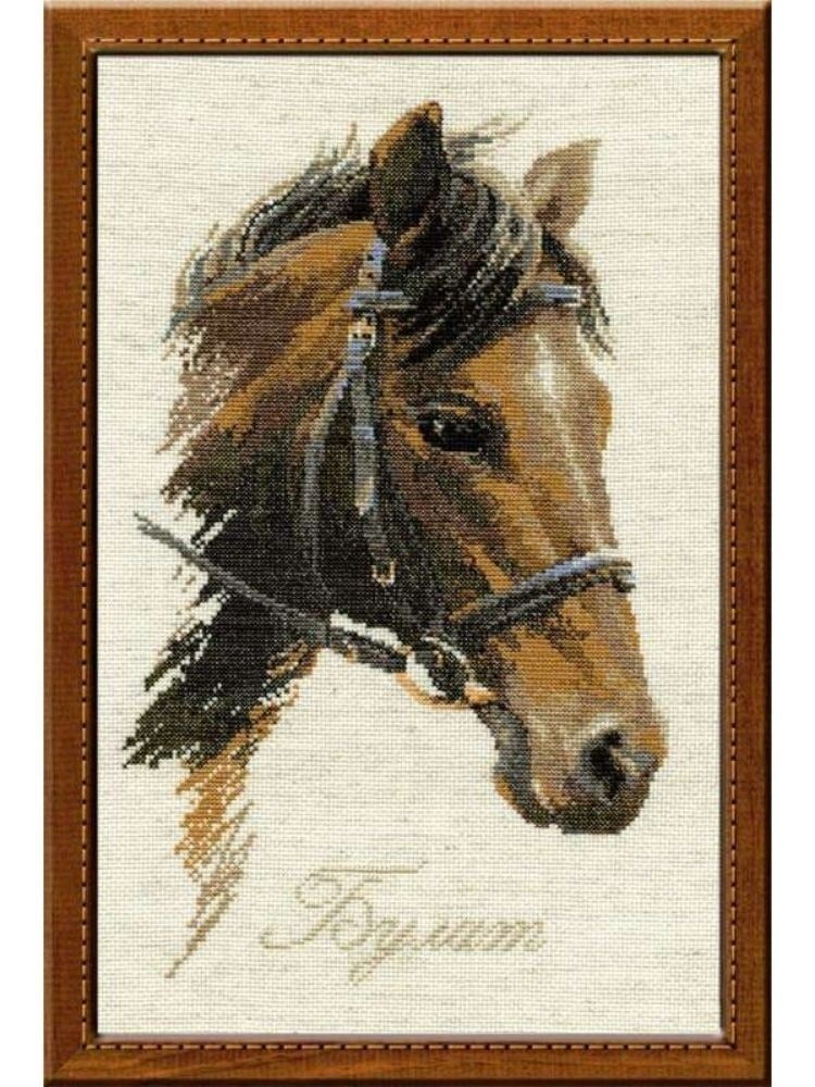 Riolis Kanaviçe Kiti - 0826