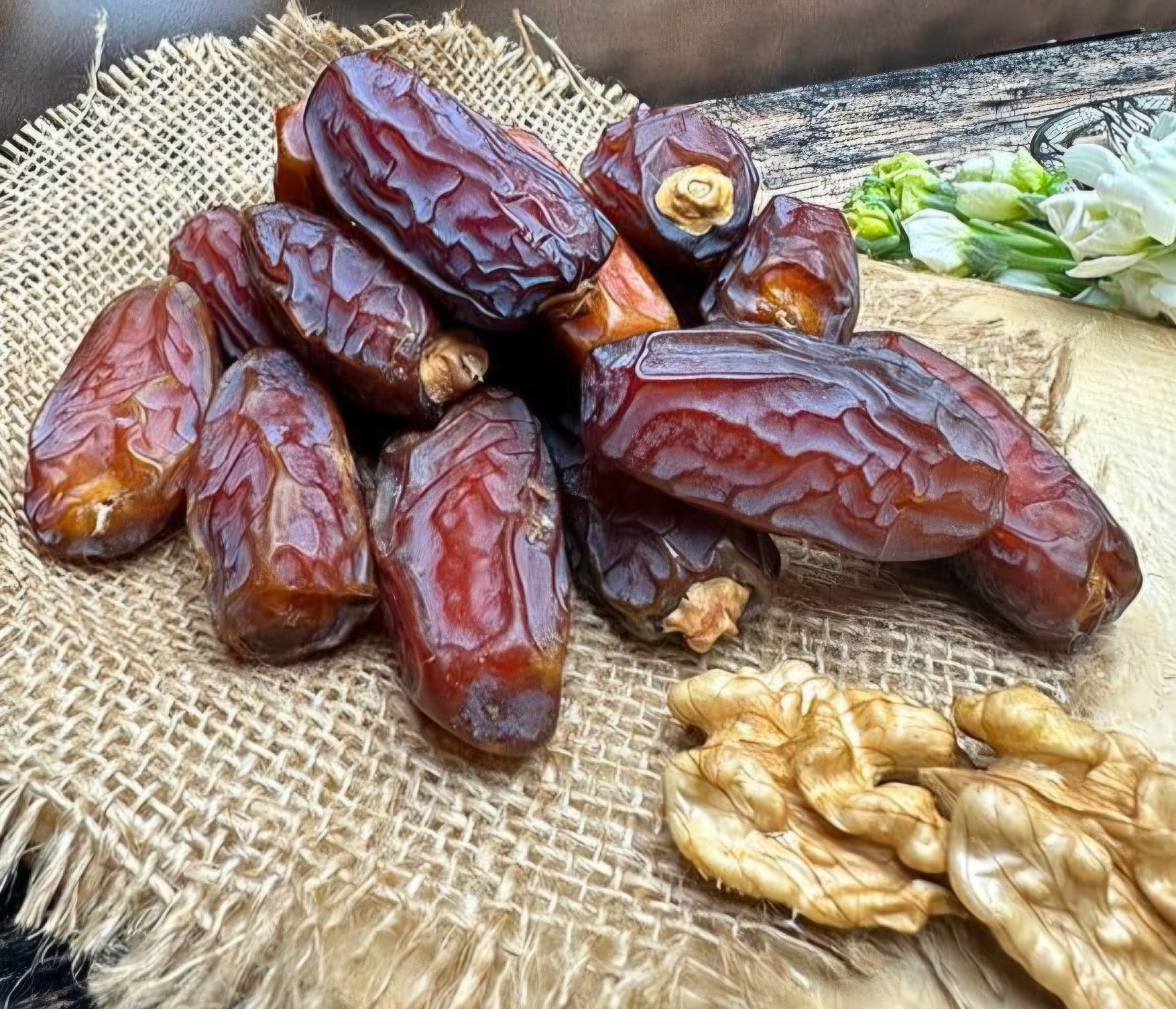  MEBRUN HURMA