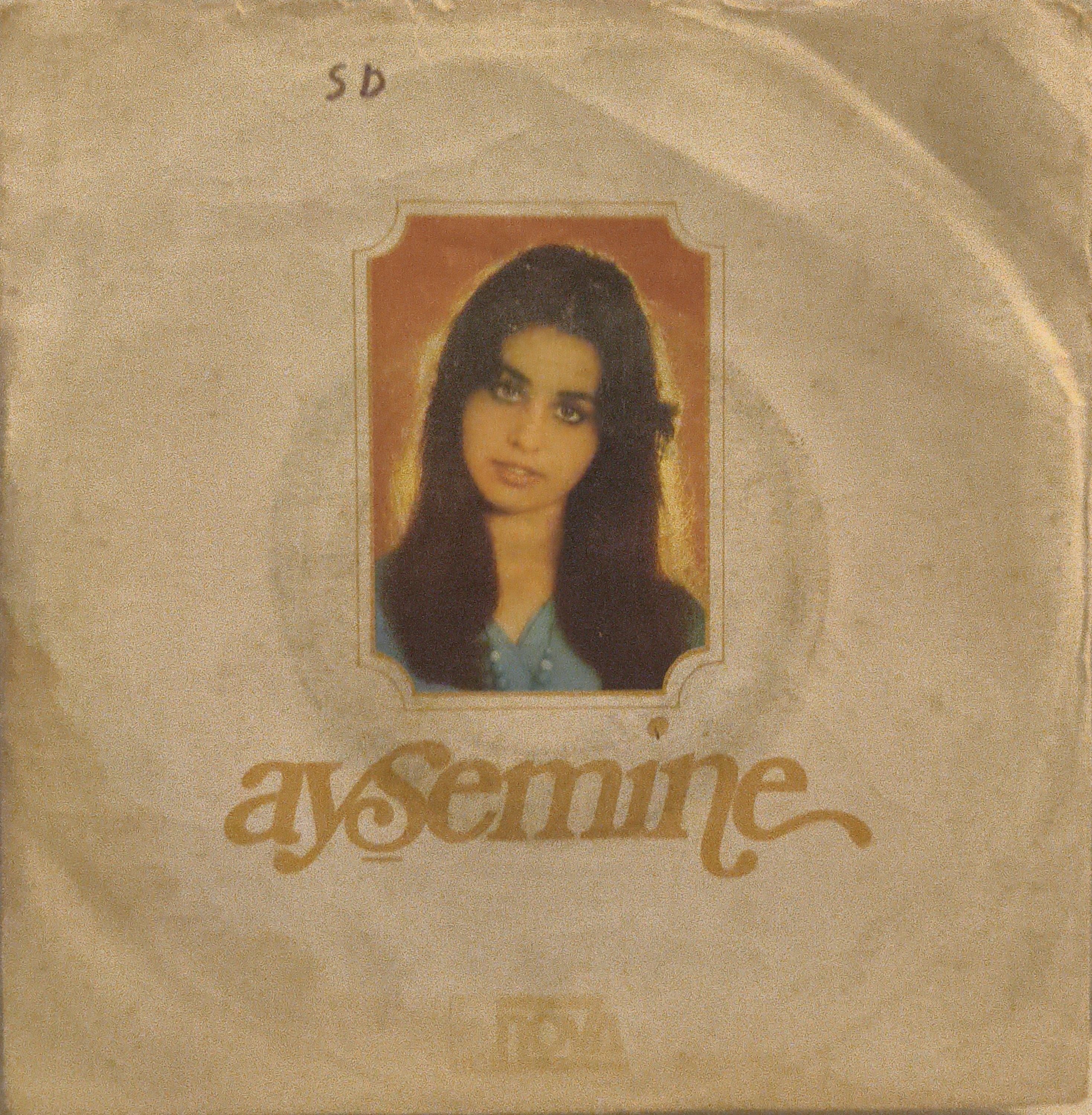 Ayşemine Demekki öyle 45 LİK PLAK 