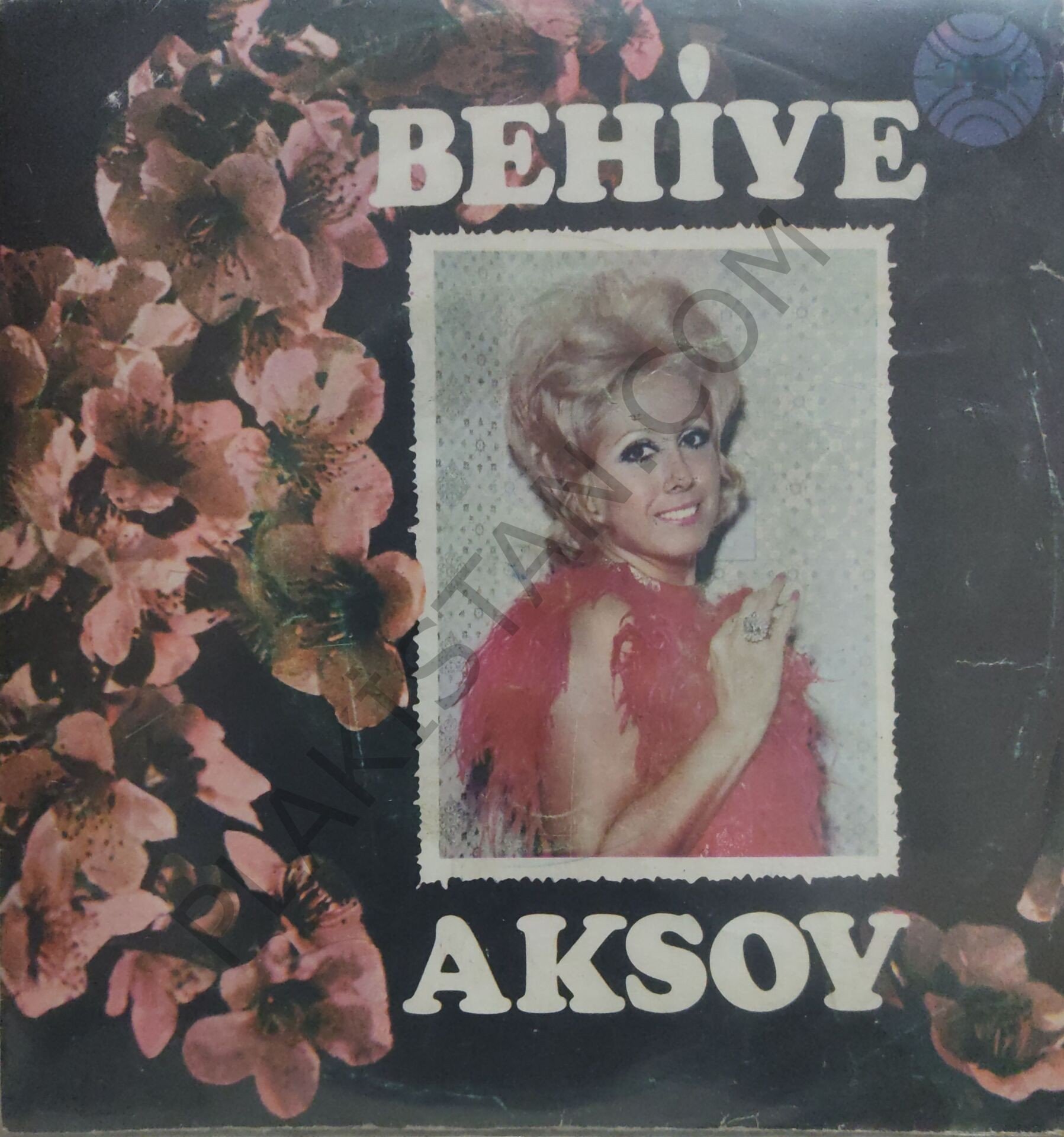 Behiye Aksoy - Hasret  45lik - PLAK