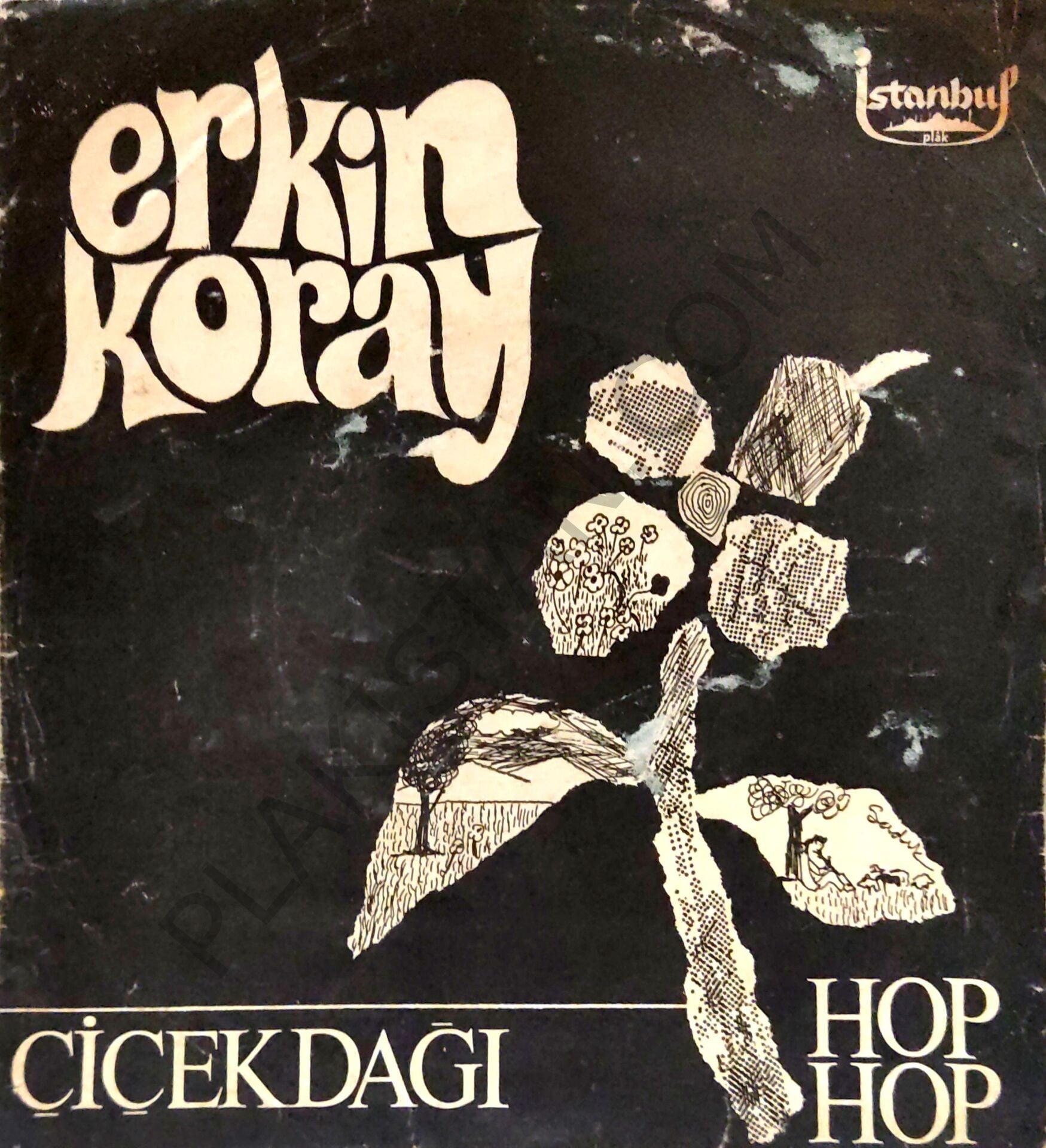 Erkin Koray - Çiçek Dağı- Siyah kapak - 45lik PLAK