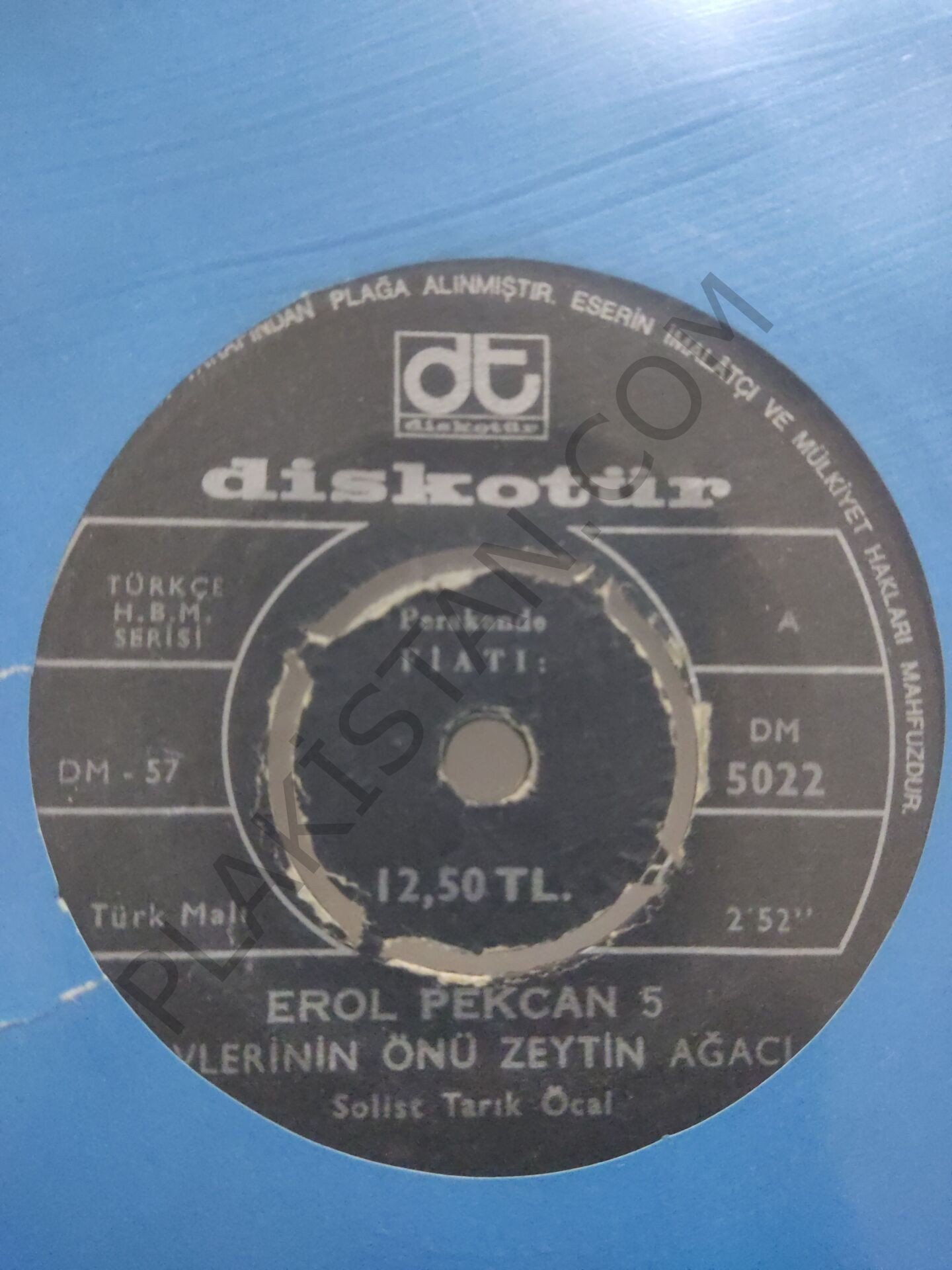 Erol Pekcan 5 Evlerinin Önü Zeytin Ağacı 45lik