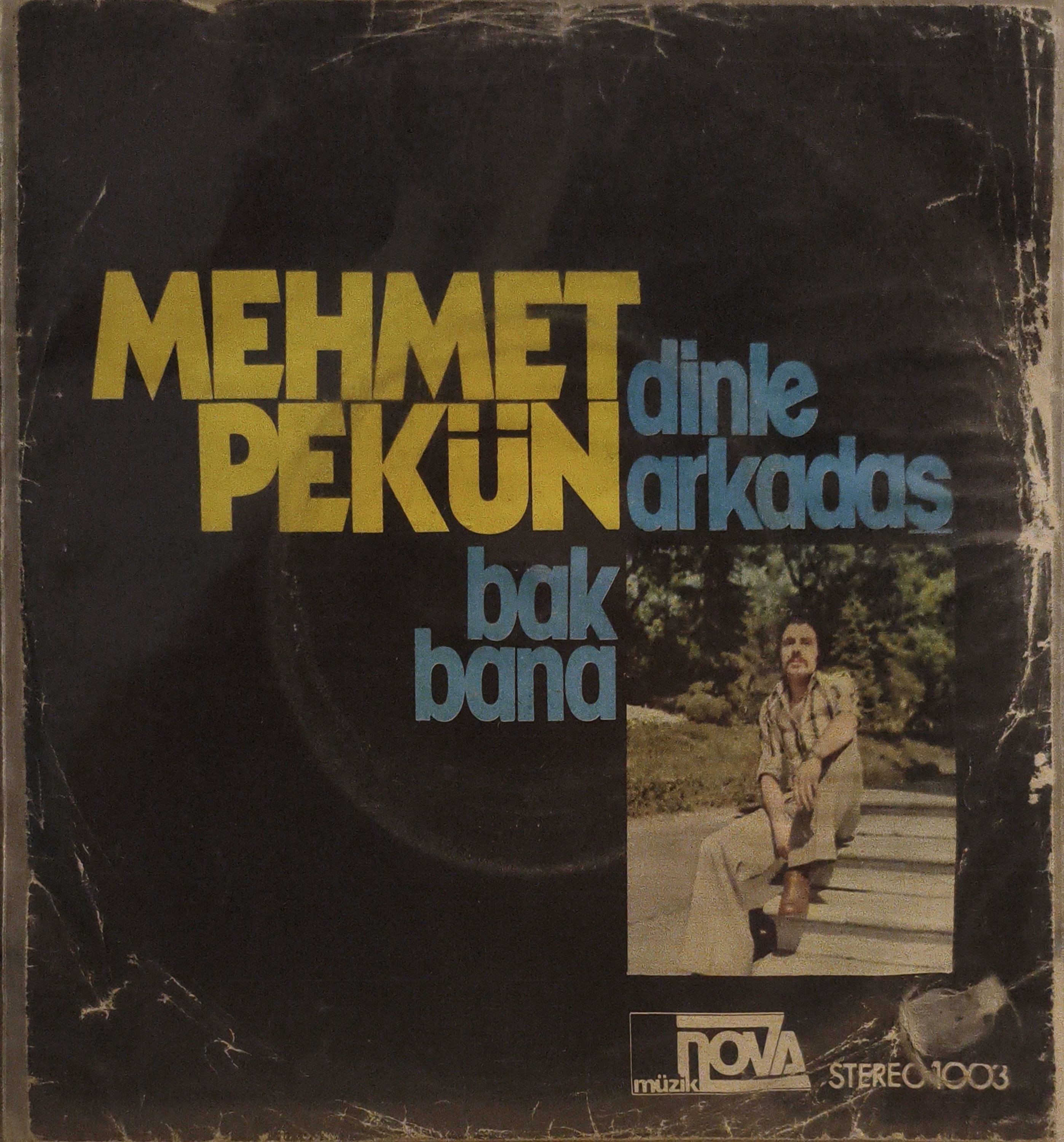 Mehmet Pekün Dinle arkadaş 45 LİK PLAK 
