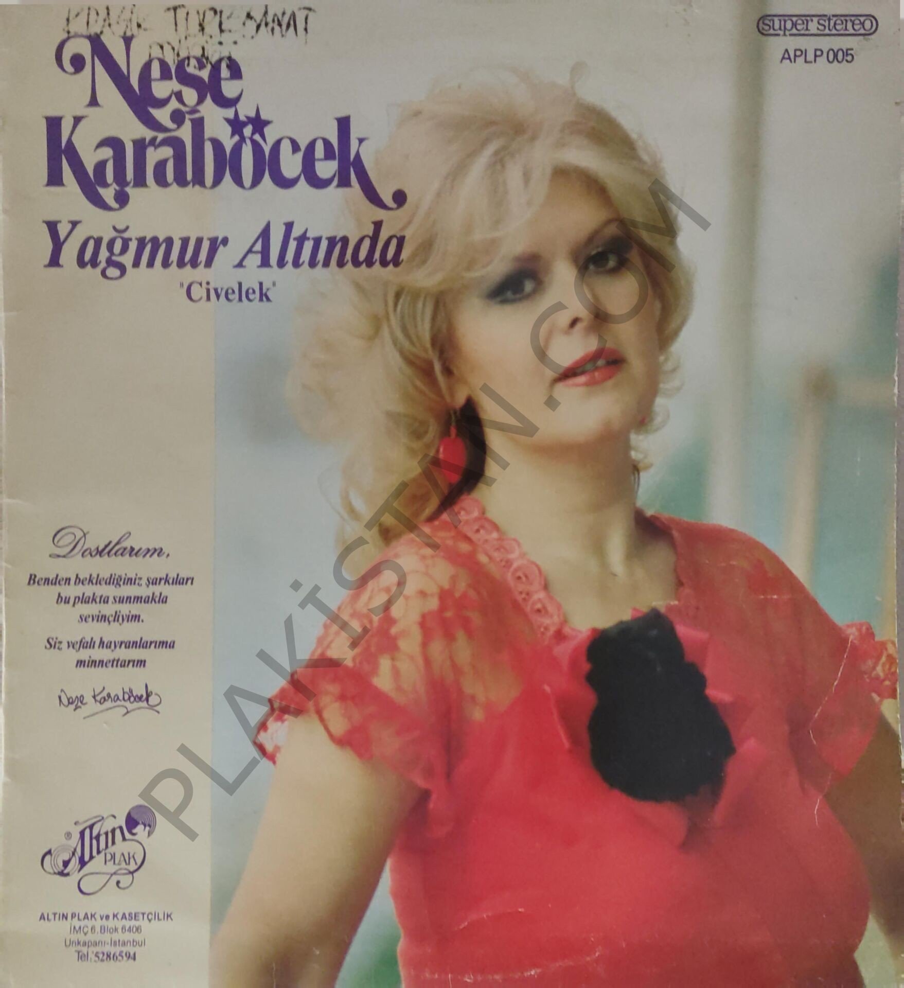 Neşe Karaböcek Yağmur Altında Civelek LP PLAK