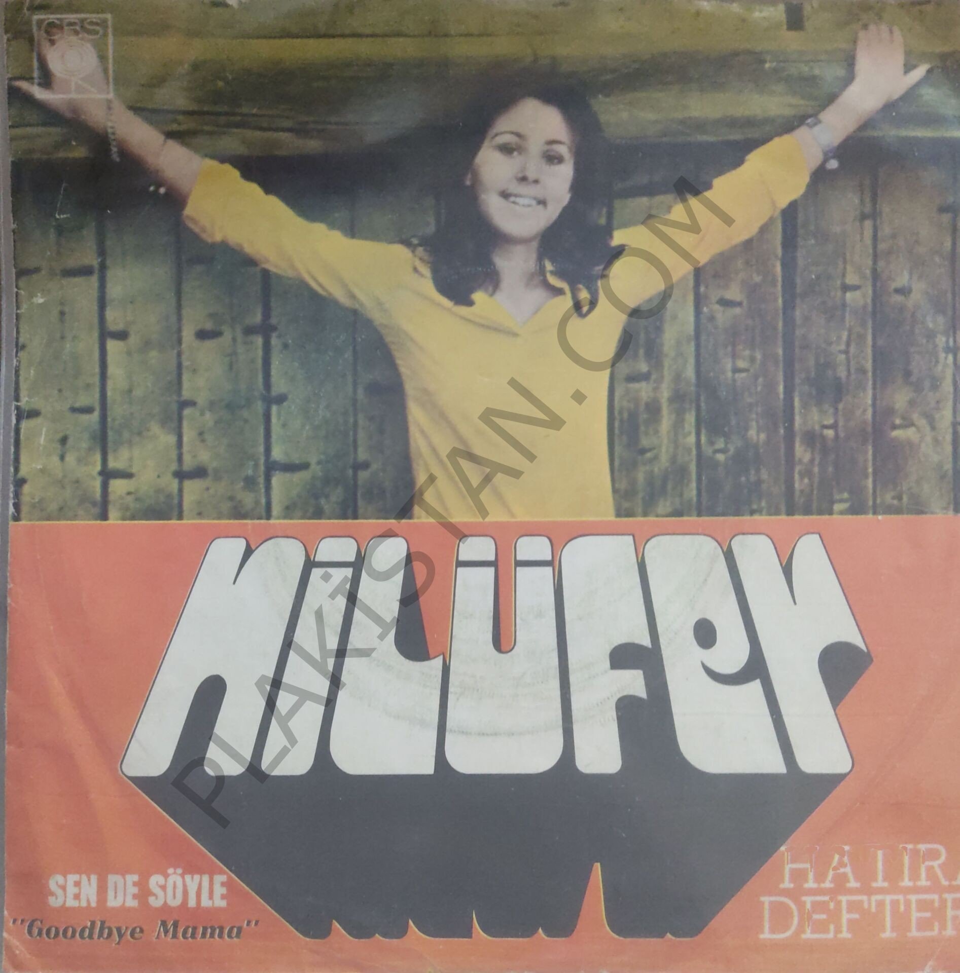Nilüfer Sende Söyle 45lik