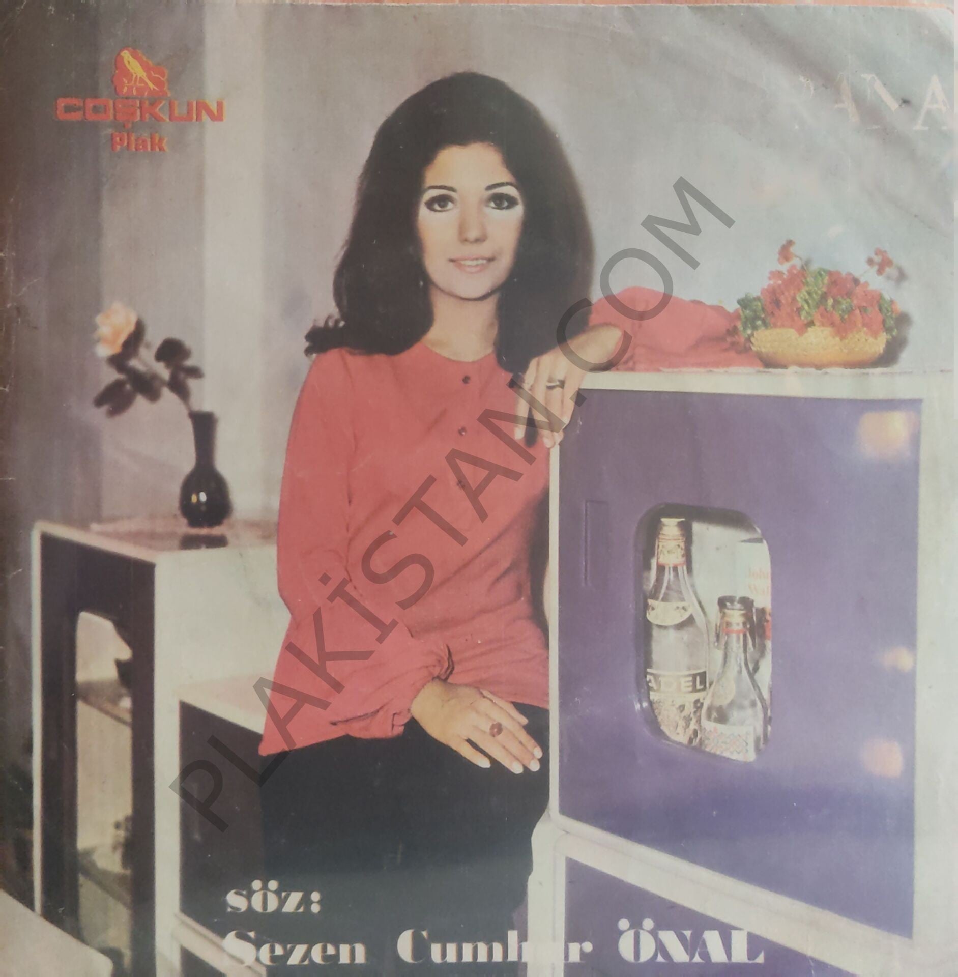 Rana Alagöz Sevgili'ye 45lik
