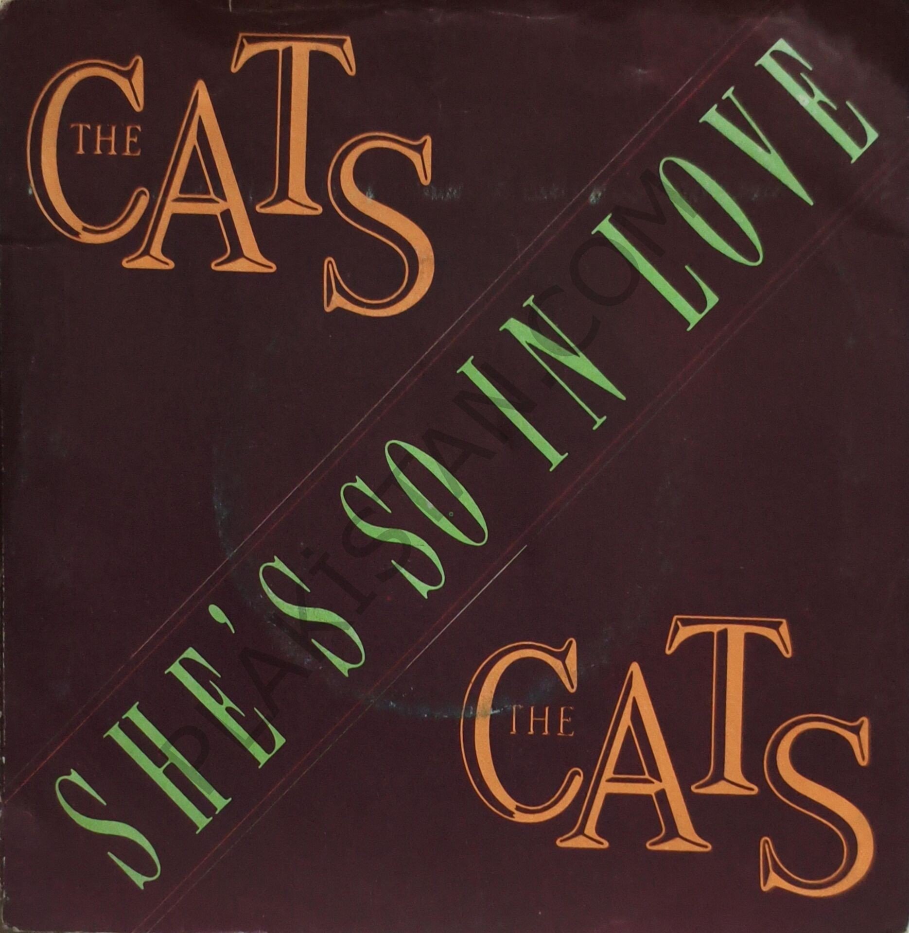 The Cats – She's So In Love 45 LİK PLAK