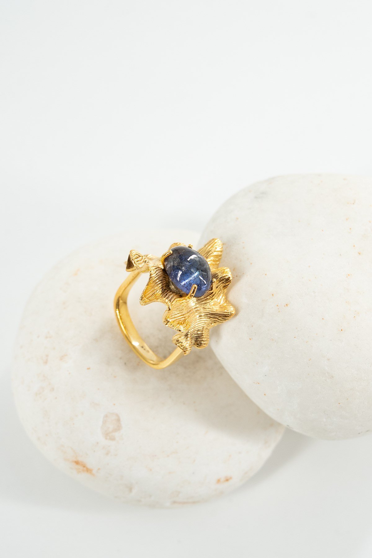 Labradorite con Pietra Uccello con Figura Design Anello