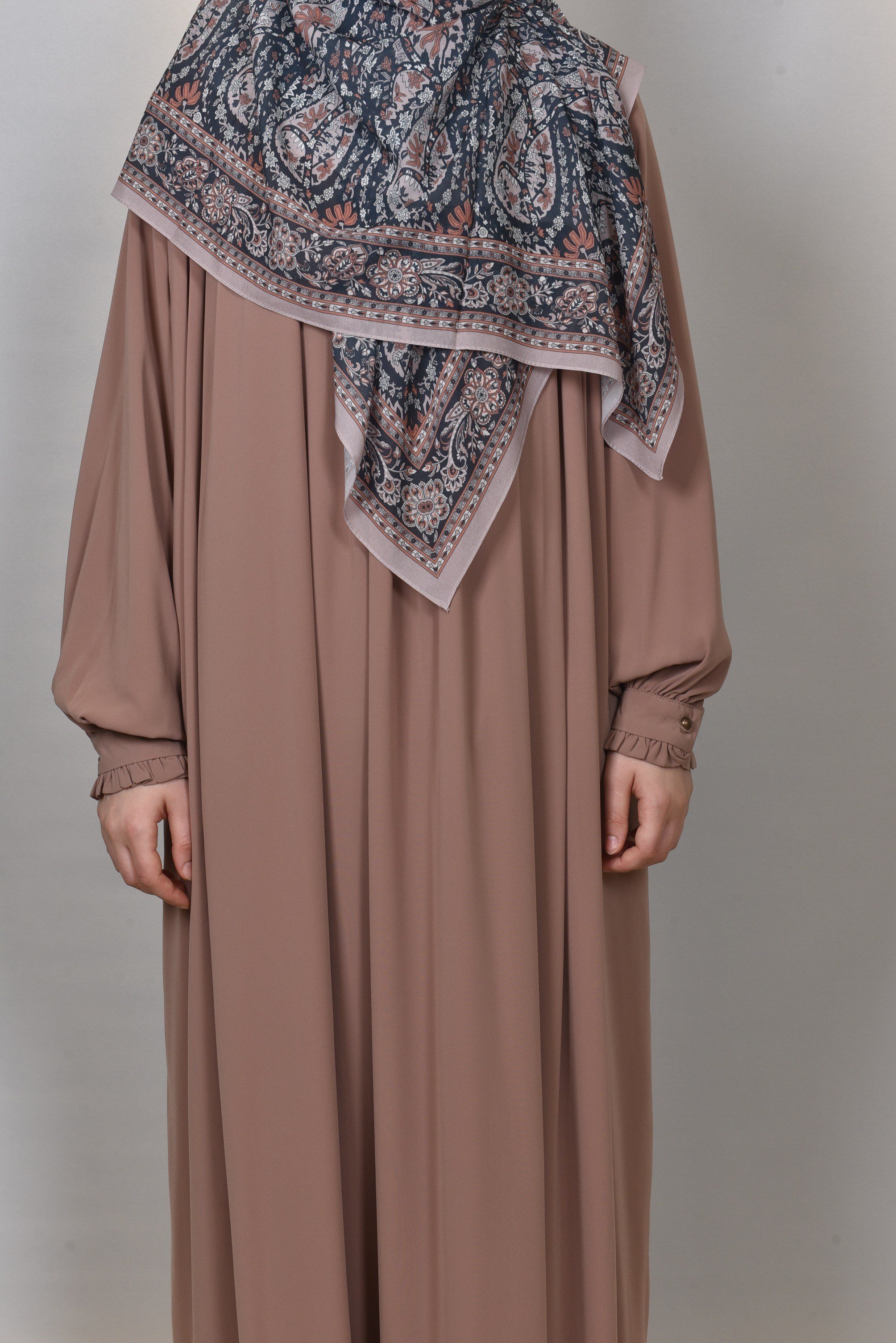 Hafsa Model
