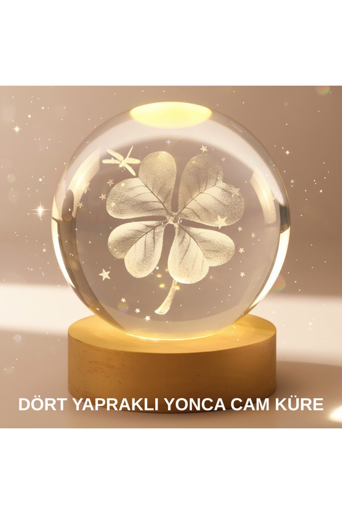 Bitki Temalı LED Işıklı Cam Küre Ahşap Standlı Modern Gece Lambası