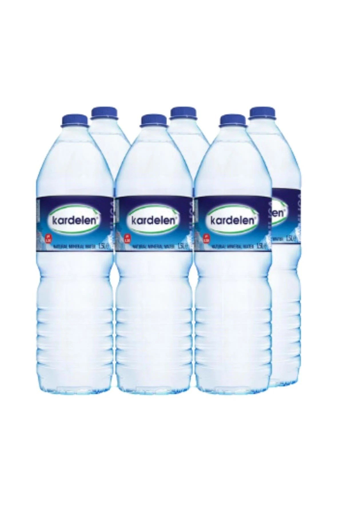 KARDELEN 1,5LT*12*42