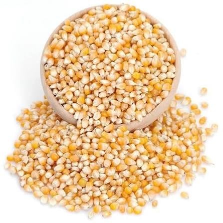 POPCORN MISIR 25 KG