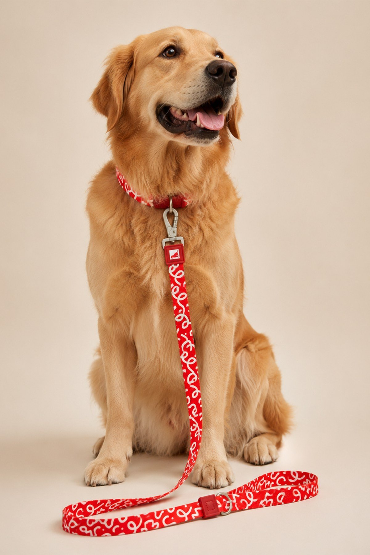 Köpekler İçin Dayanıklı Ve Güvenli, Desenli Gezdirme Tasması ( 25mm )