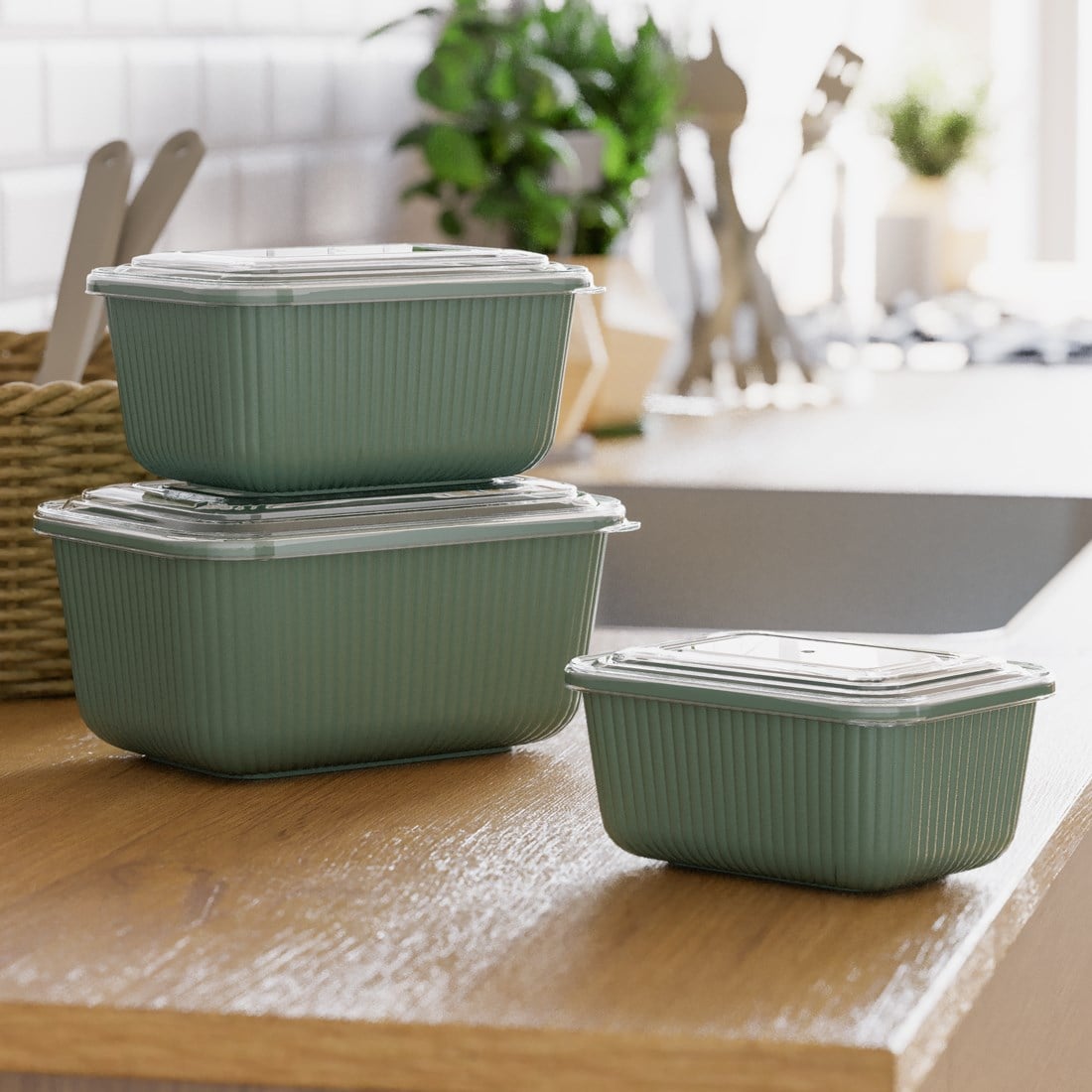 3 Parça Snap Lid Line Dikdörtgen Set (600-1100-1800 ml)