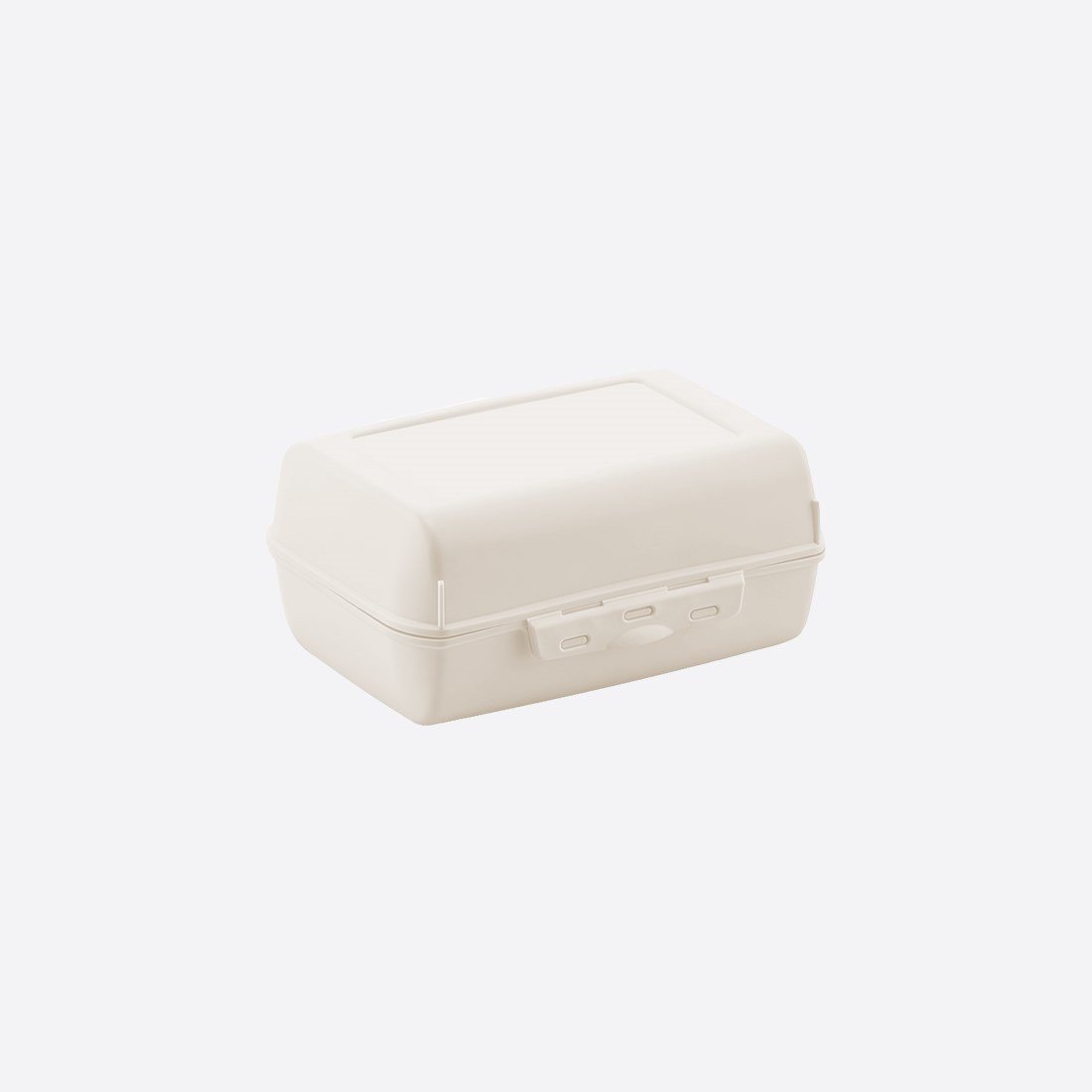 Large Lunch Box