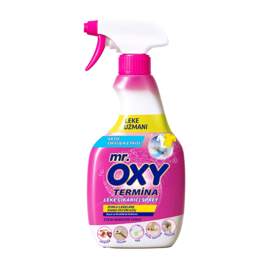 MR. OXY TERMINA LEKE ÇIKARICI SPREY 750 ML
